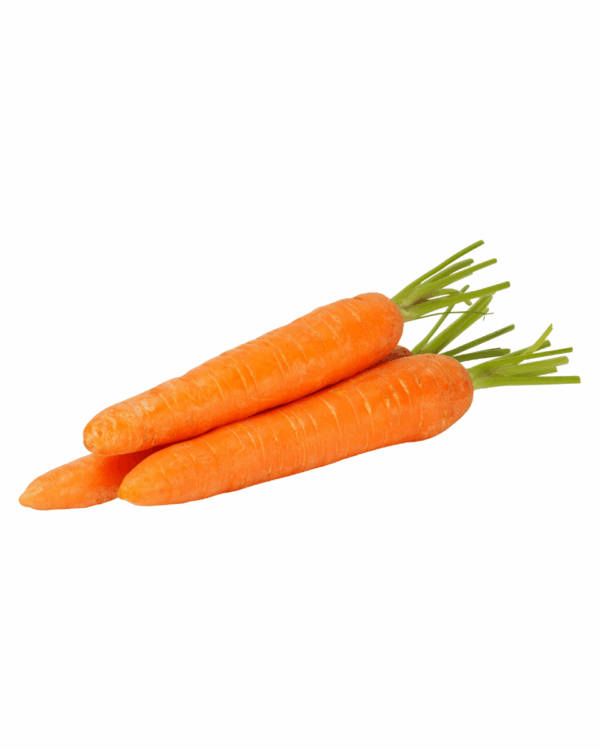Zanahoria