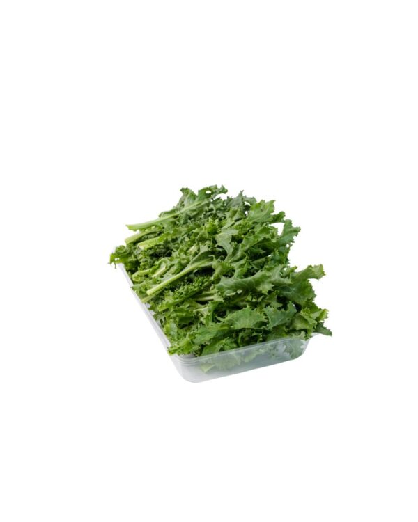 ACHICORIA