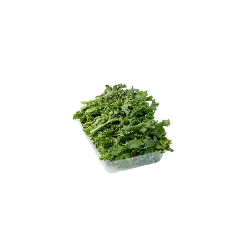 ACHICORIA