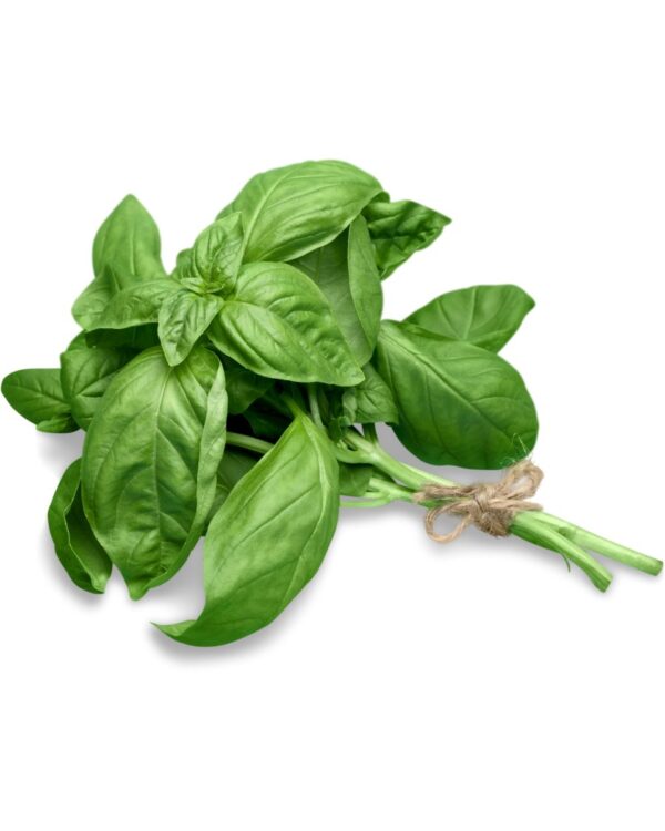 ALBAHACA PAQUETE