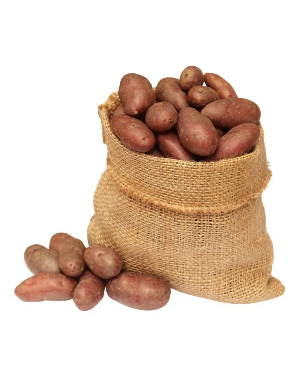 BONIATO BOLSA 13 KG