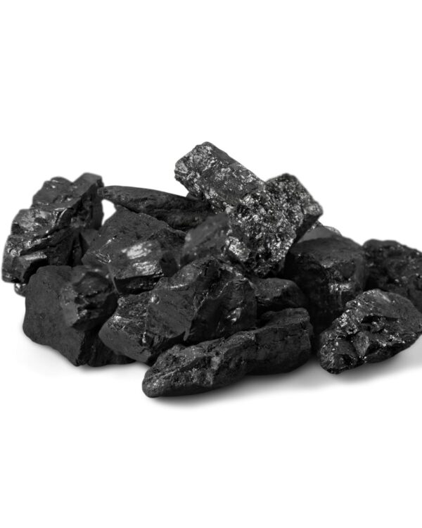 CARBON ESPECIAL GRANDE