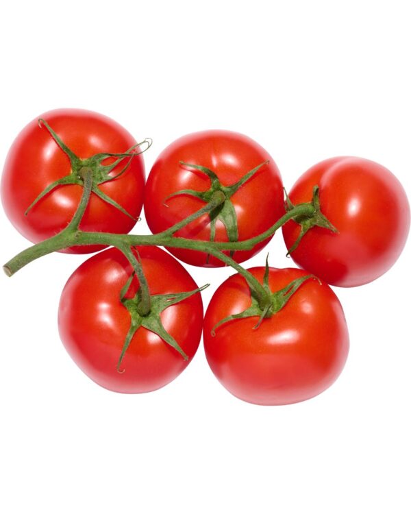 CHERRY EN RAMA