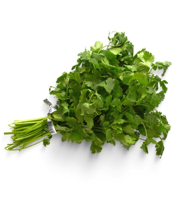 CILANTRO PAQ.