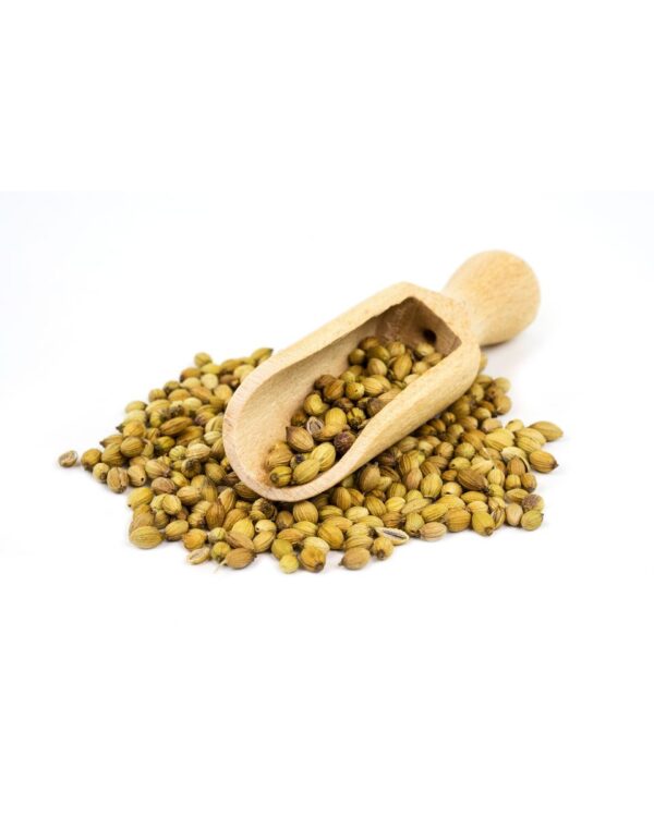 CORIANDRO EN GRANO