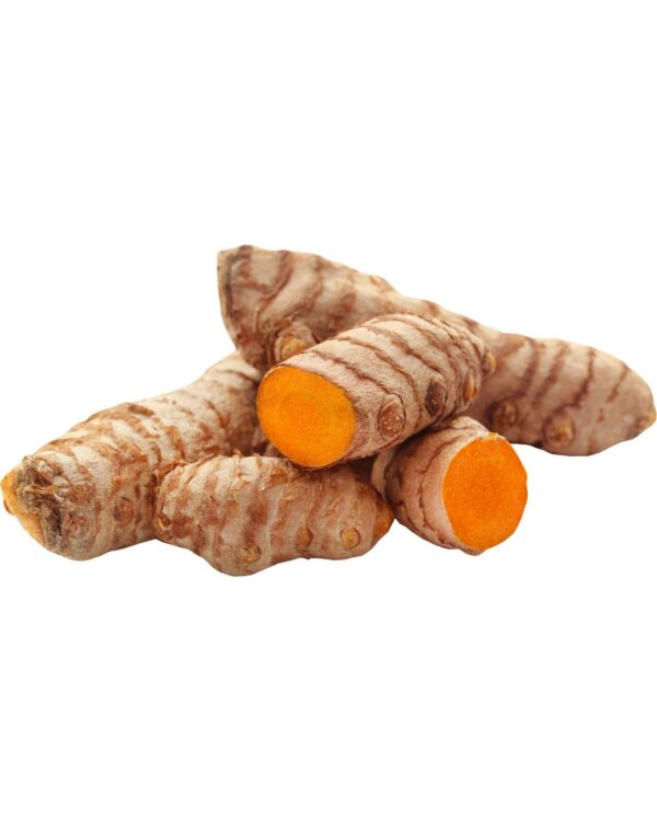 CURCUMA RAIZ FRESCA