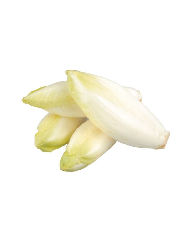 ENDIVIA 500G PAQUETE