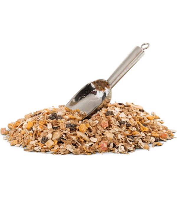 GRANOLA TRADICIONAL