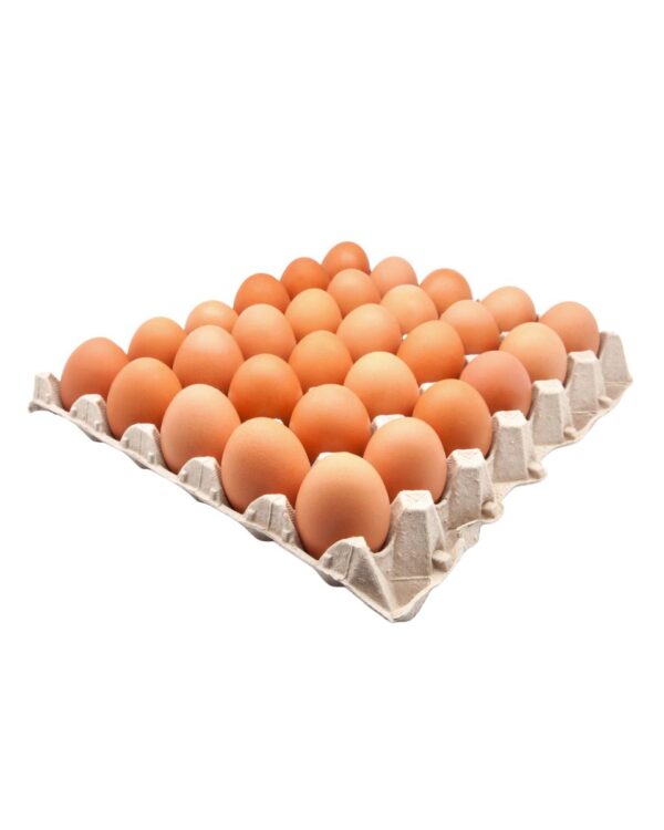 HUEVOS DE CAMPO MAPLE