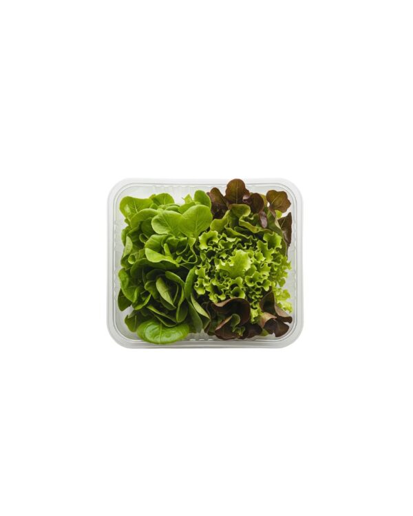 LECHUGA HIDROPONICA MIX PAQUETE