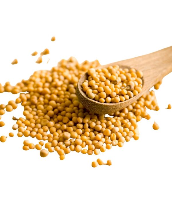 MOSTAZA GRANO