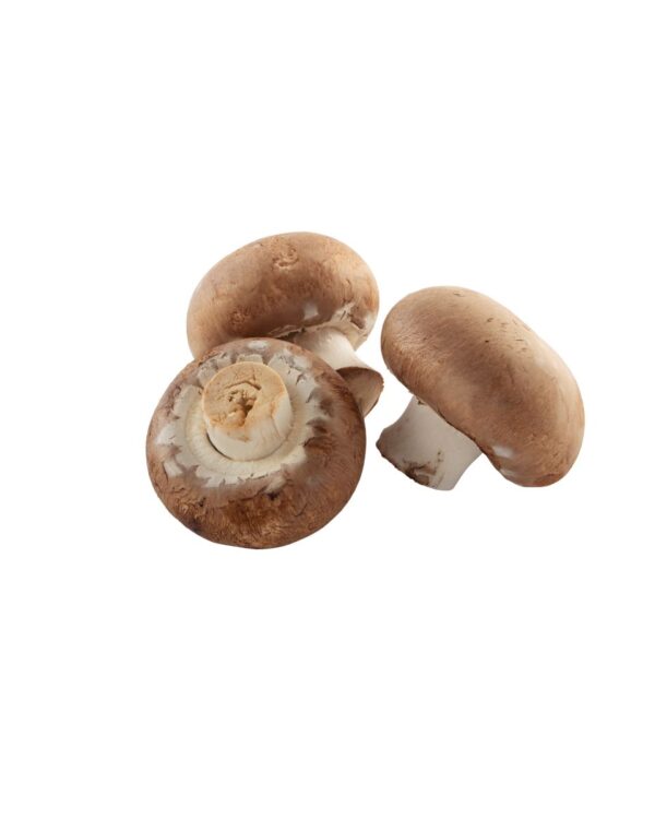 PORTOBELLOS