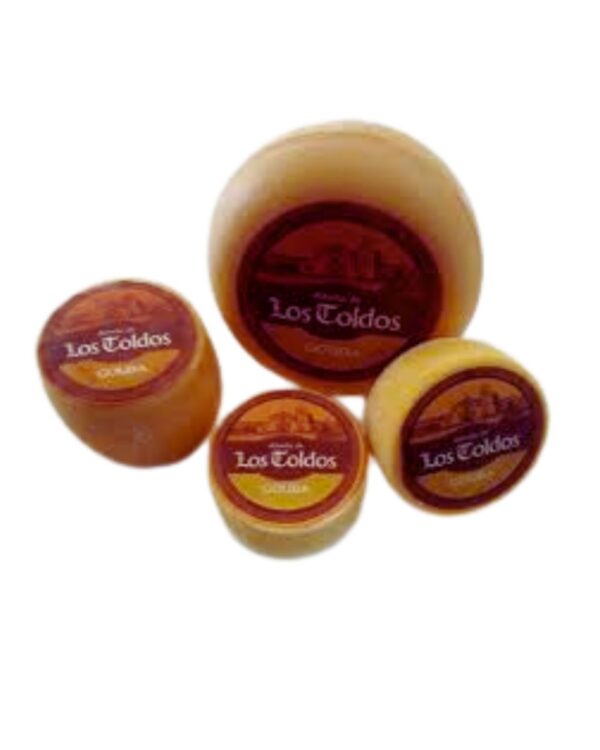 QUESO GOUDA LOS TOLDOS
