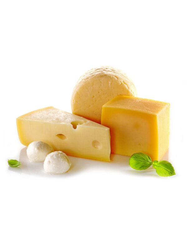 QUESO MOZZARELLA KG