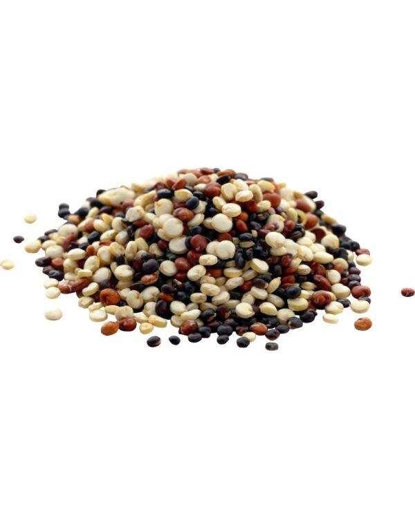 QUINOA TRICOLOR