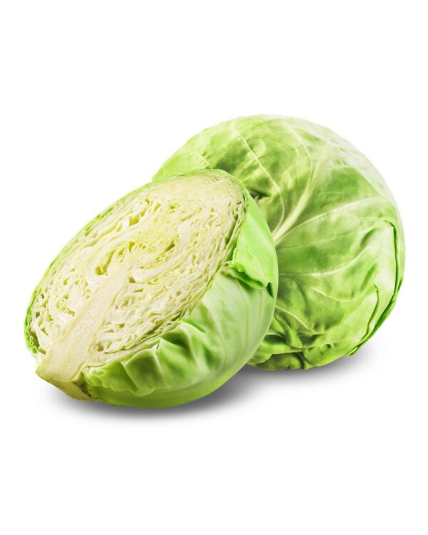 REPOLLO BLANCO