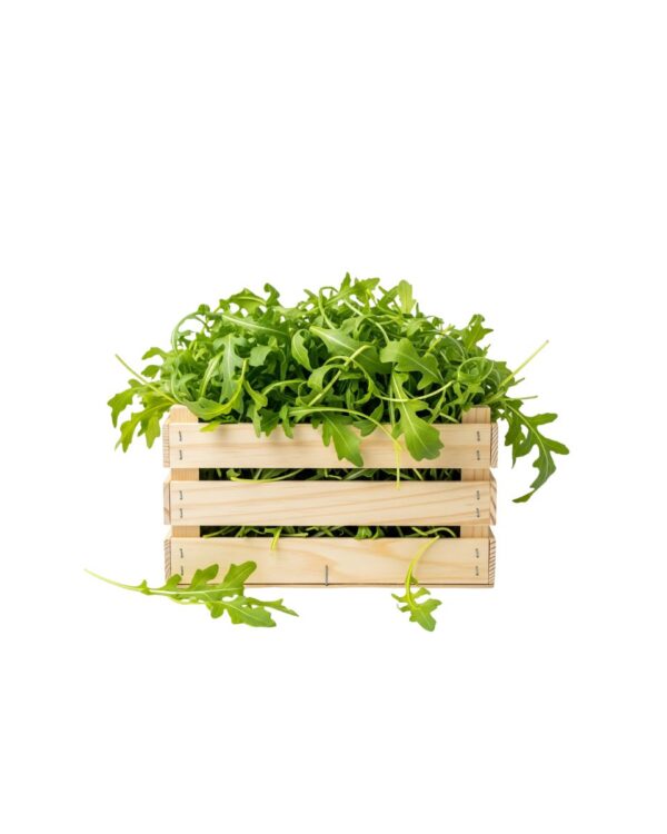 RUCULA CAJON
