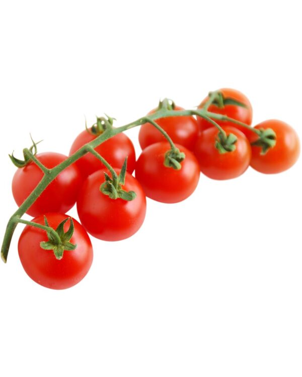 TOMATE EN RAMA