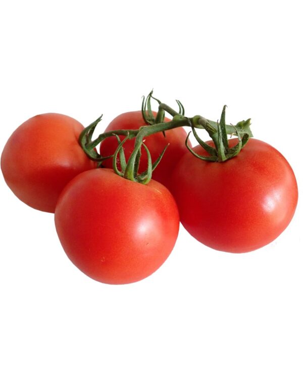 TOMATE MEDIANO OFERTA