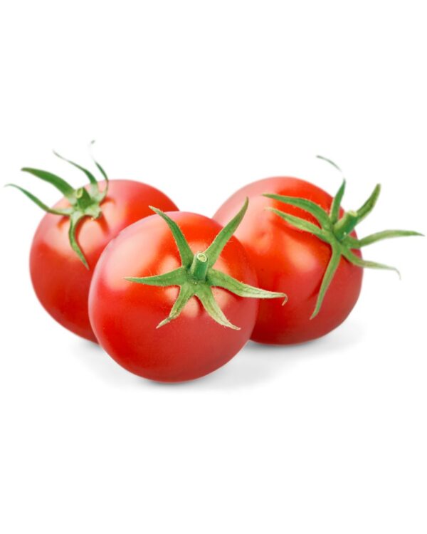 TOMATE REDONDO