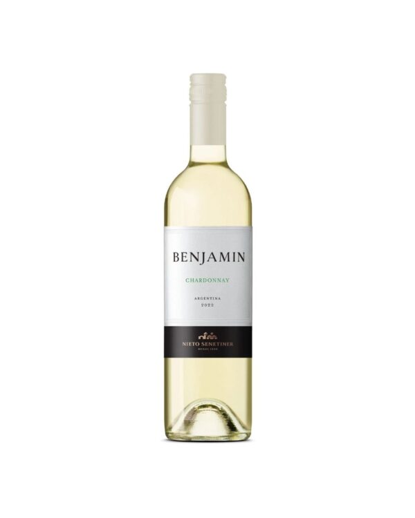VINO BENJAMIN CHARDONNAY