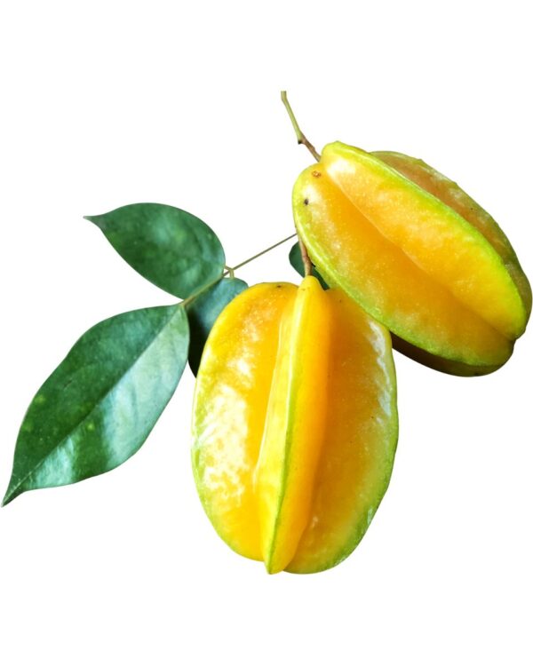 CARAMBOLA