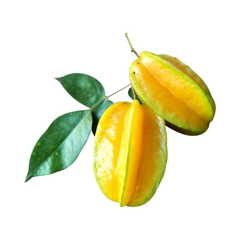 CARAMBOLA